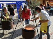 Lecsófeszt a Parkerdő Otthonban…