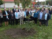 Korszerű a 70 éves szentesi könyvtár…