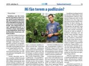 A hét legnépszerűbb cikke III….