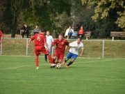 Kevés volt az akarat…