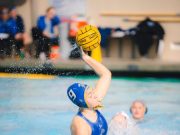 Kalandos útja volt hazáig…