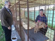 Nem plázacicáknak való a kutyamenhely…