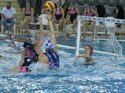 Nektek is hiányoznak az edzések, mérkőzések, gólok? Nekünk nagyon!…