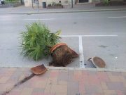 Szökni próbált, de nem sikerült…