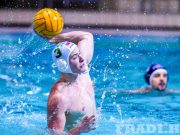 Fényképek a Ferencváros Metalcom Szentes mérkőzésről. #metalcomszentes #ferencv…