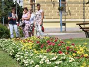 Zsűrizték Szentest…