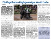 A hét legnépszerűbb cikke IV….