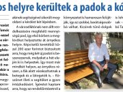 A hét legnépszerűbb cikke II….