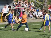 Erdélyszky emlékéért…