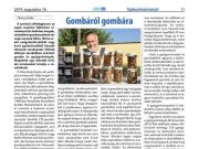 A hét legnépszerűbb cikke III….