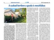 A hét legnépszerűbb cikke II….