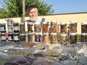 Gombáról gombára…