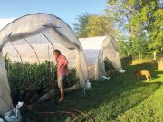 A szabad kertben a gazda is mezítlábas…