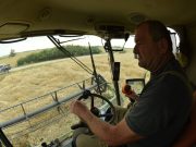 Aki a búzát learatja…