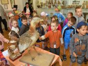 Madarak és fák napja a ligetben…