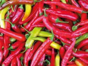 Sokoldalú paprika…