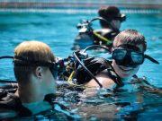 Ebihalként csobbantak, búvárként merültek fel…