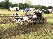 Az eső sem szegte a fogathajtók kedvét…