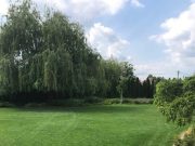 Legyen szép zöld kertünk nyáron is…