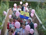 Séta a mellrák elleni küzdelemért…