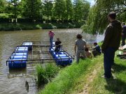 Újra van stég a Kurcán…