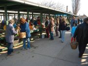 Piacok, parkolás és szeméttelep nyitva tartás…