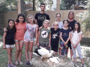 Nemzetközi önkéntesek is segítenek a madármentő állomáson…