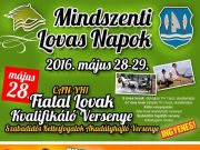 Lovas Gyermeknap kaszkadőr show-val…