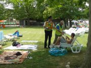 Nyáron sem pihennek a bűnözők…