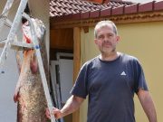 Kapitális harcsa akadt horogra a Tiszán…