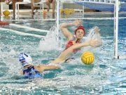 3⃣0⃣ perc múlva kezdődik a Tatabánya elleni kupameccse a lányokna…