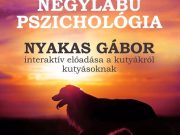 Interaktiv kutyás előadás