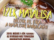 Programajánló|17…