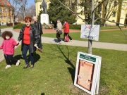 Tojásfák Szentesen…