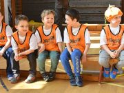 Oviolimpia a Klauzálban (képgaéria)…