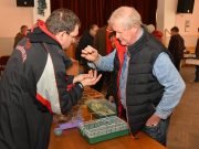 Ingával is vizsgálták a madarakat…