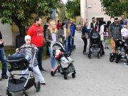 Új Életfák a szentesi újszülötteknek…