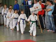 Karate Diákolimpia Szentesen (képgaléria)…