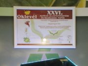 Díjnyertes palánta…