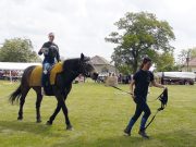 Lóháton és malacot cipelve ünnepelték a gyereknapot…