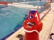 A csapatok már melegítenek, pillanatokon belül kezdődik a Hungerit Szentes utols…