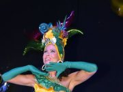 Karnevál 2016 (4. képgaléria)…