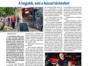 A hét legnépszerűbb cikke II….