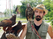 Réka, Oszi és Coyote a levegő farkasai…