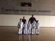 Minden judós aranyérmet kapott…