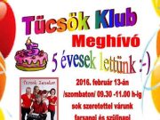5 éves a Tücsök Klub!…