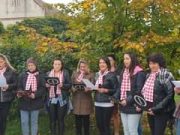 Legyen szabad a grund … (videó)…