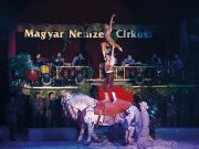 Születésnapi műsorral érkezett városunkba a 25 éves Magyar Nemzeti Cirkusz…