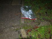 Kábítószerrel kereskedett Szentesen…