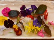 A világ legrangosabb főzőversenyén szentesi alapanyagok…